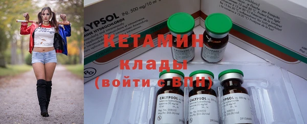стаф Новодвинск