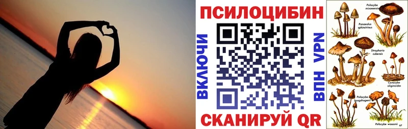 блэк спрут ссылка  Кемь  Псилоцибиновые грибы MAGIC MUSHROOMS 