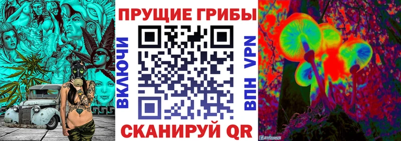 Псилоцибиновые грибы Magic Shrooms Кемь