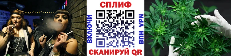 Бошки Шишки семена  Кемь 